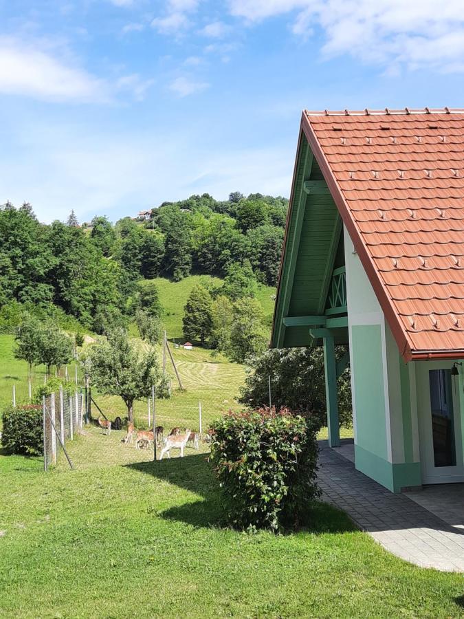 Holiday Home Neokrnjena Narava Sevnica Esterno foto