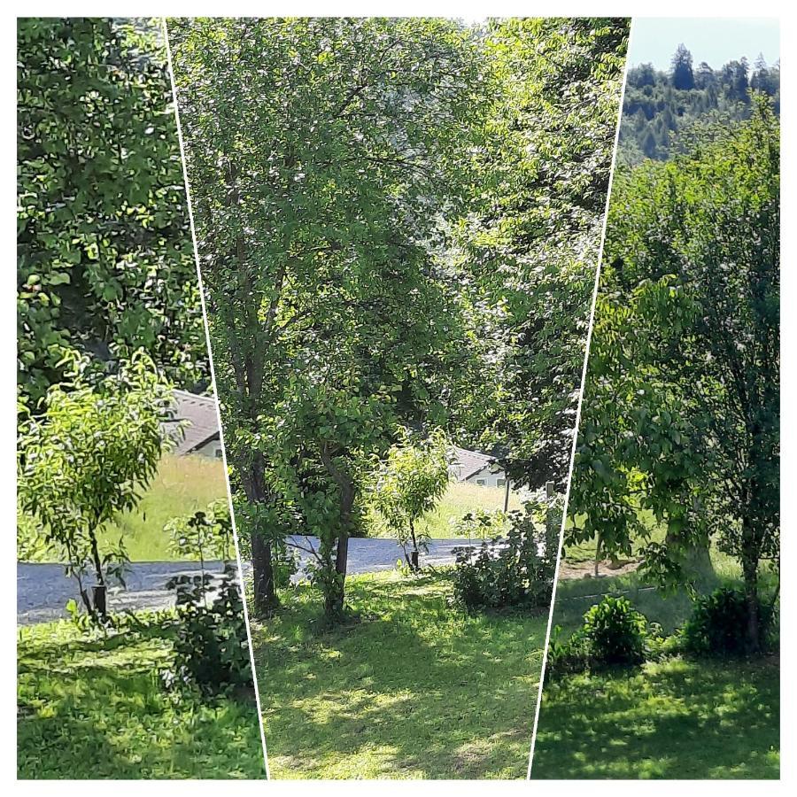 Holiday Home Neokrnjena Narava Sevnica Esterno foto