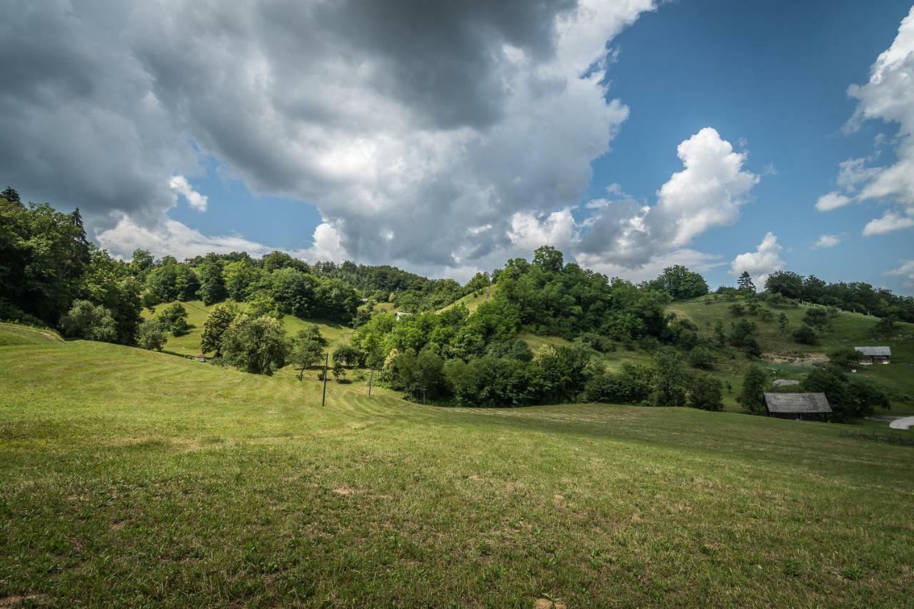 Holiday Home Neokrnjena Narava Sevnica Esterno foto
