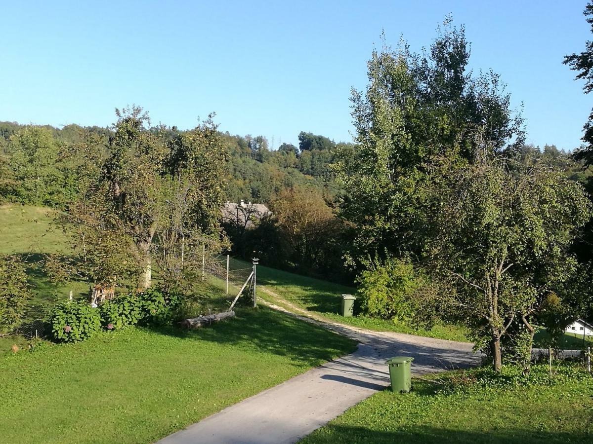 Holiday Home Neokrnjena Narava Sevnica Esterno foto